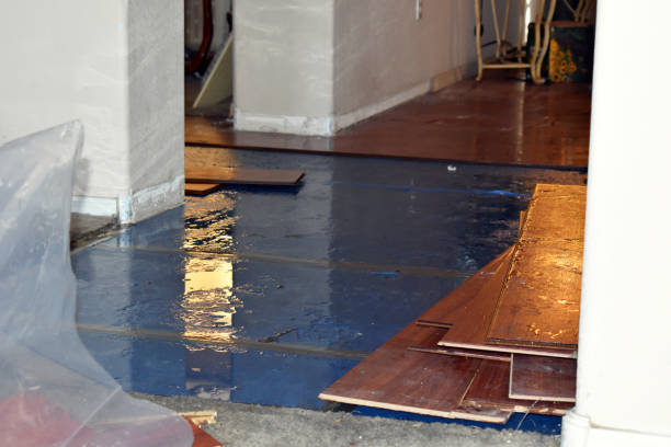Professional Water Extraction technician working in Burlington, IA
